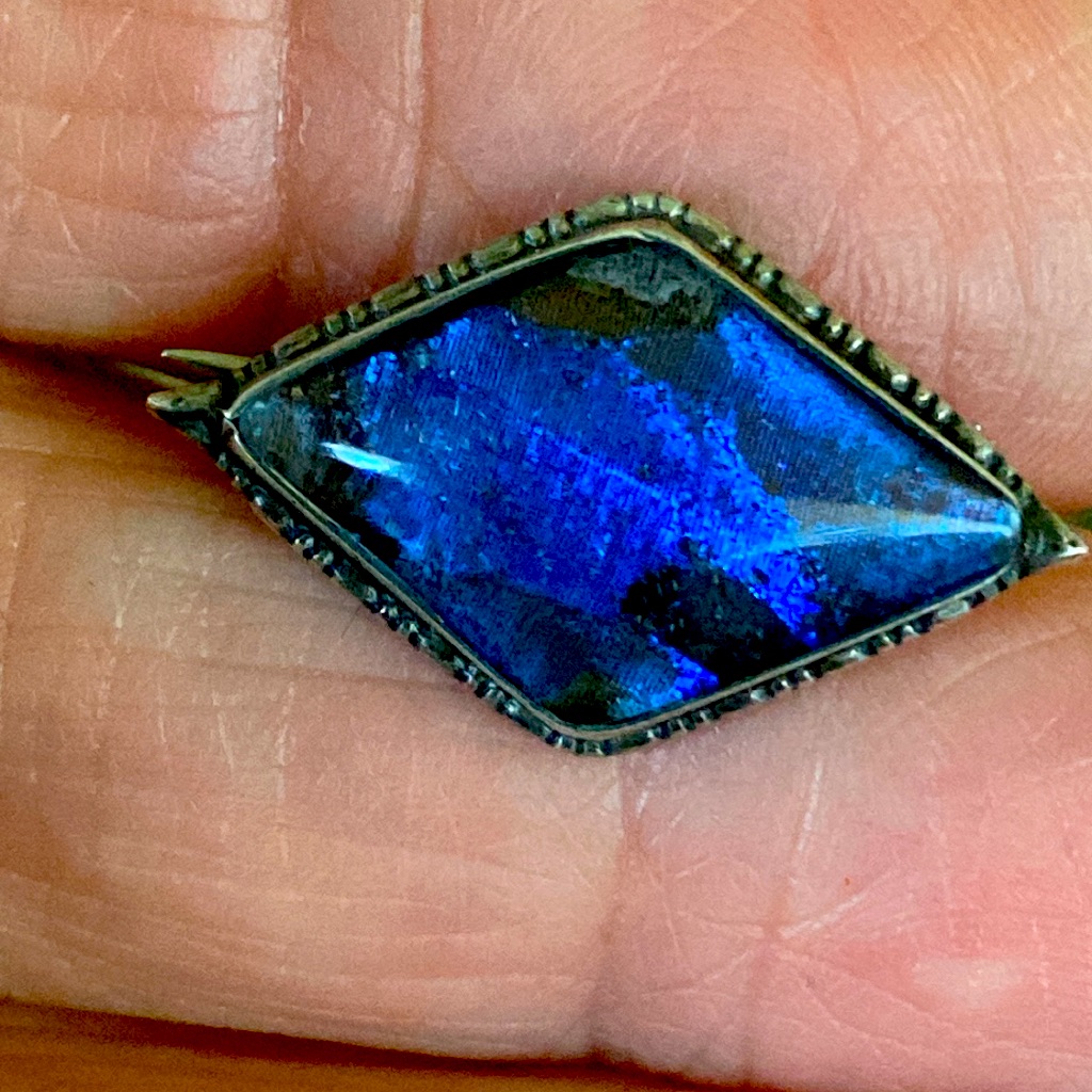 Antique Butterfly Wing Under Crystal In Sterling England
